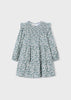 Printed Dress fw25