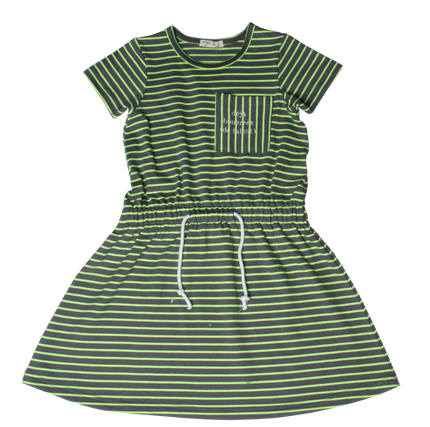 Neon Stripe Dress