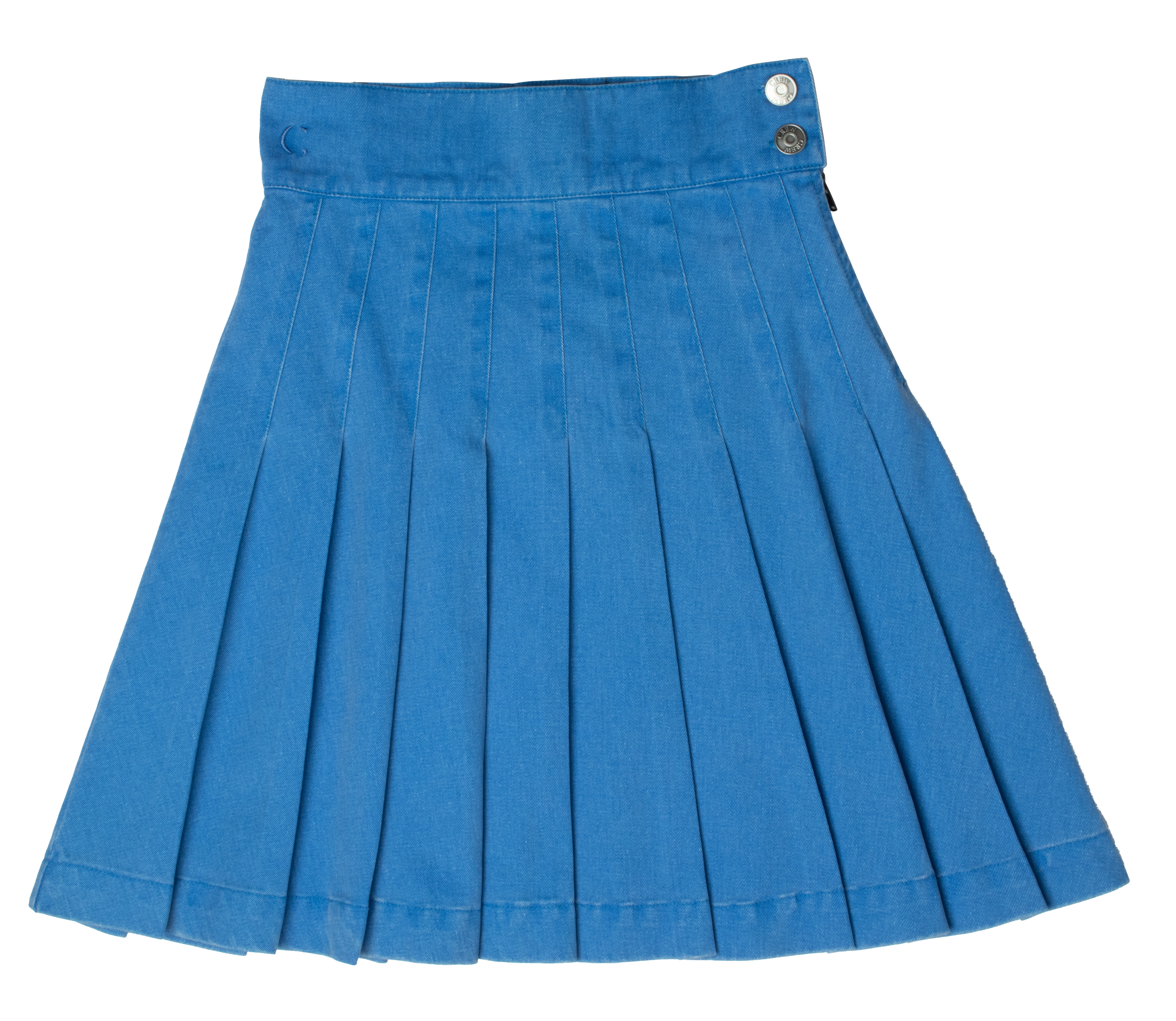 Waisted Pleated Skirt