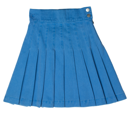 Waisted Pleated Skirt