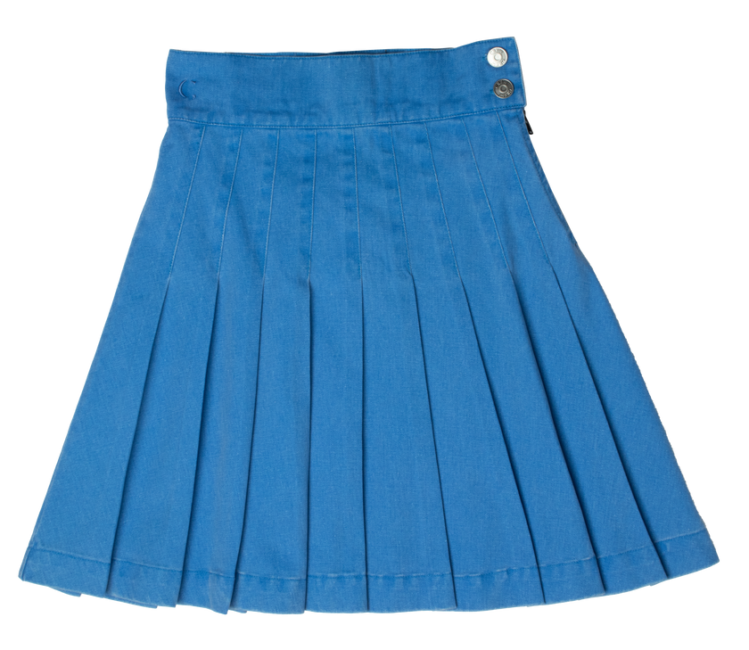 Waisted Pleated Skirt