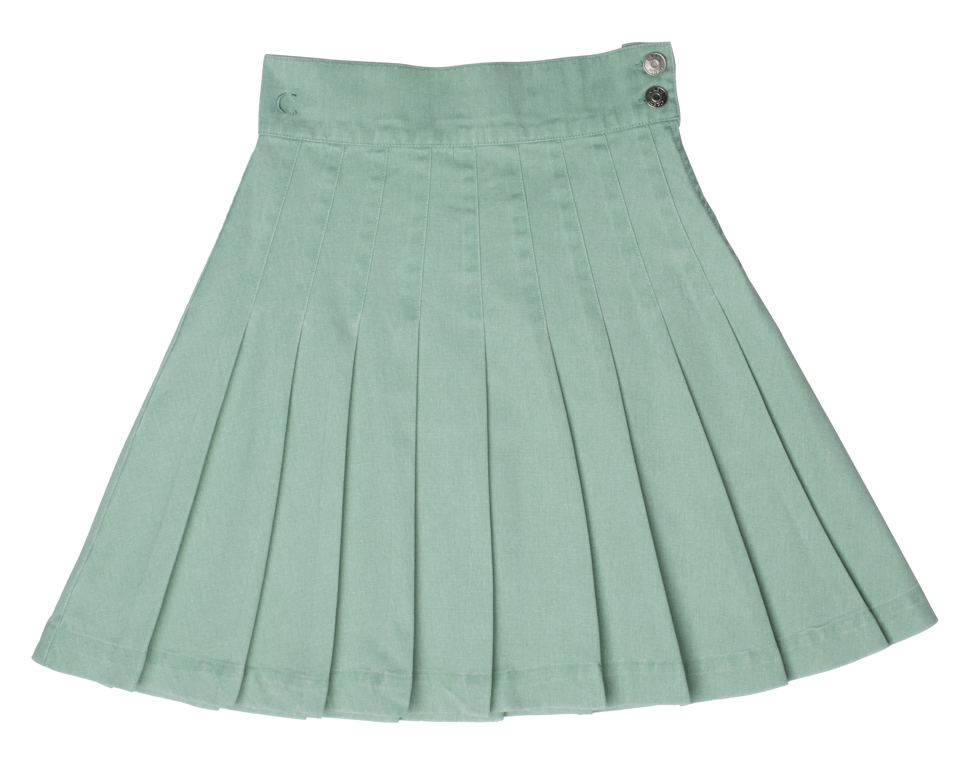 Waisted Pleated Skirt