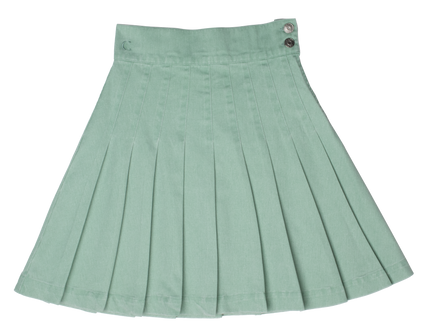 Waisted Pleated Skirt