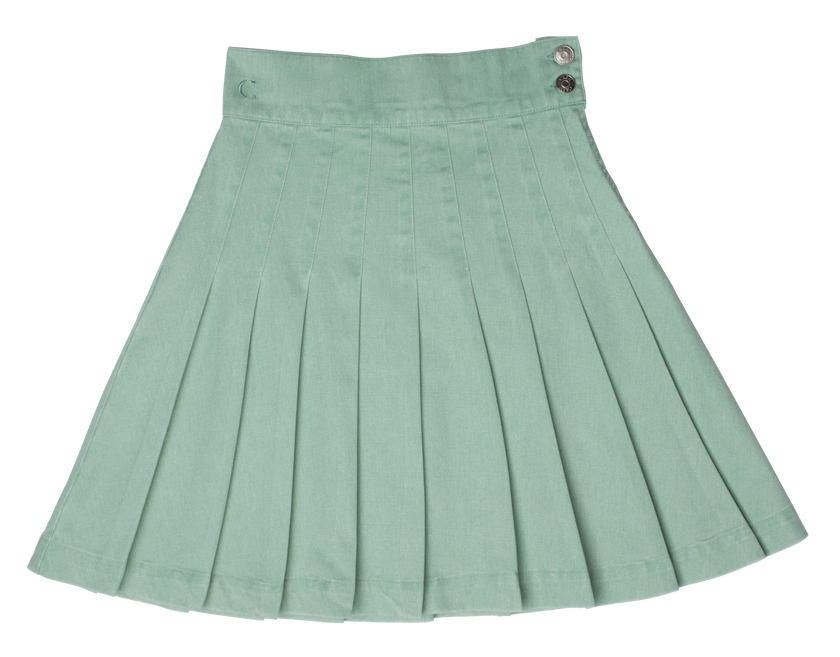 Waisted Pleated Skirt