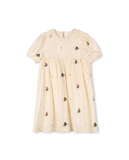 Alveron Embroidered Wasted Dress