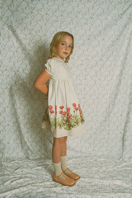 Bace Striped Foral Puff Sleeve Collar Dress