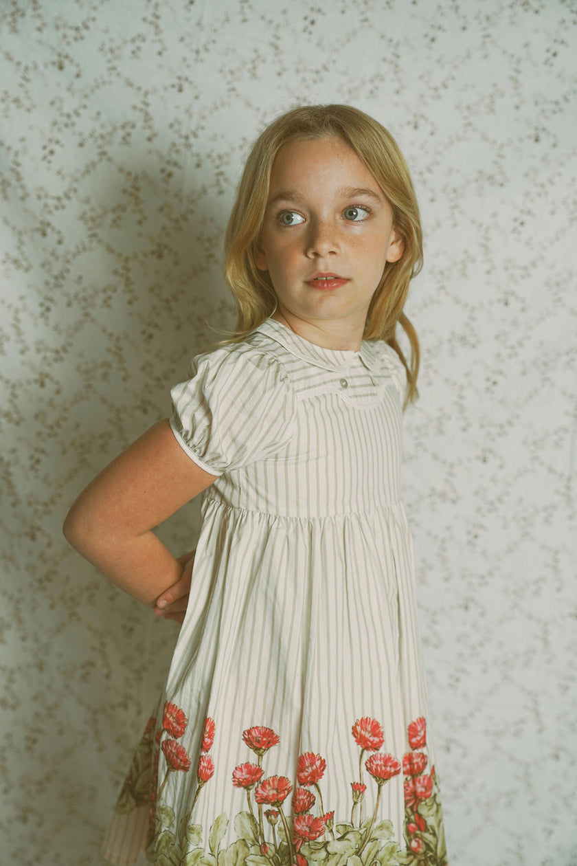 Bace Striped Foral Puff Sleeve Collar Dress