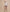 Lurex Skirt