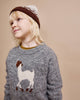 Llama Jumper