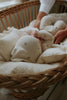 teddy bear print footie