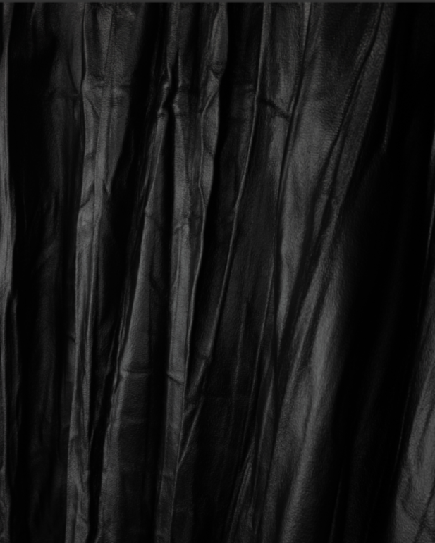 Alana Leather Pleated Skirt