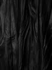 Alana Leather Vest