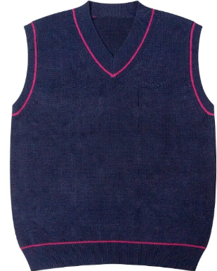 Mine Heathered Knit Trim Vest