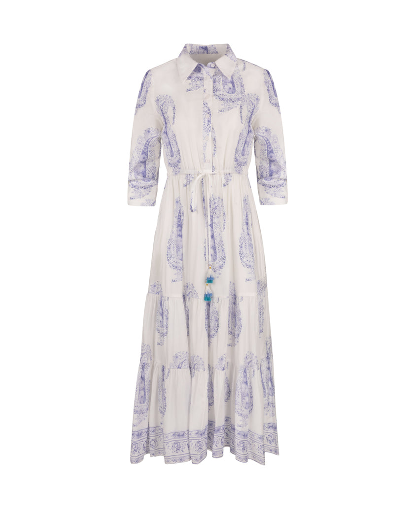 Waisted Printed Maxi Dress