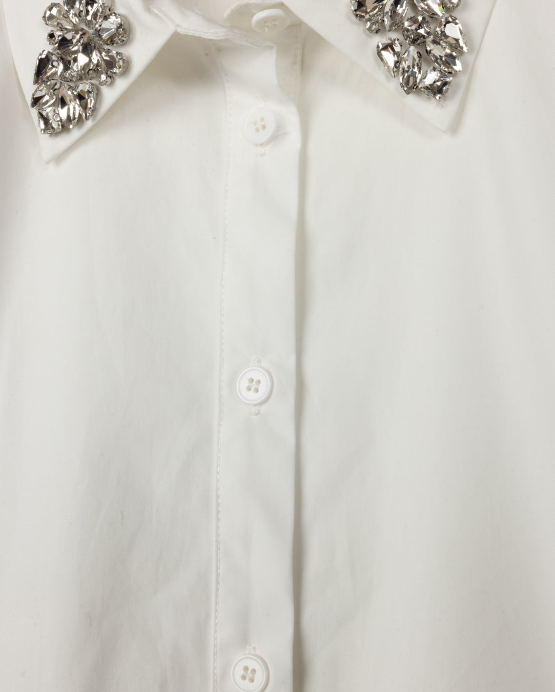 Portrait Crystal Detailed Blouse