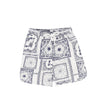 Paisely Handkerchief Print Shorts