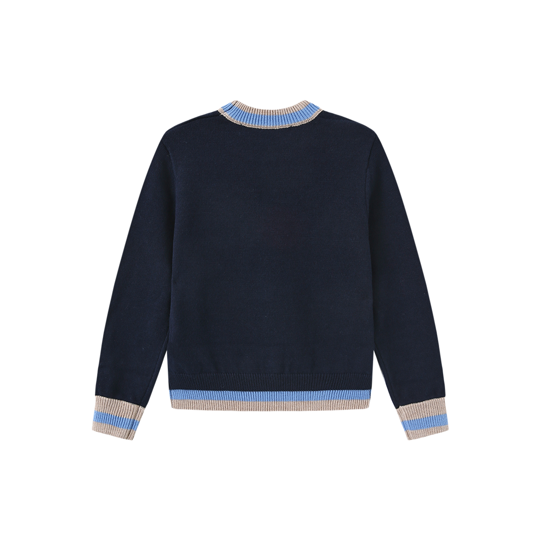 Striped Trim Sweater