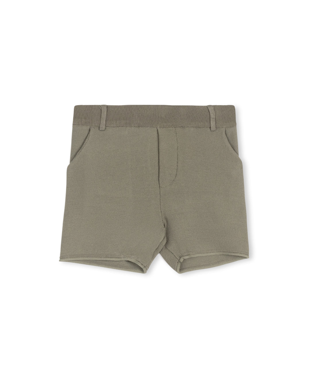 Knit Dressy Shorts