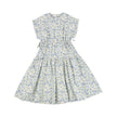 Suburb_Dress