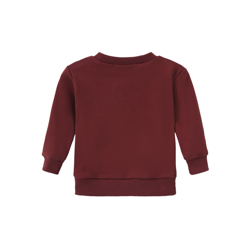 Sherpa Bow Bear Patch Sweatshirt Set