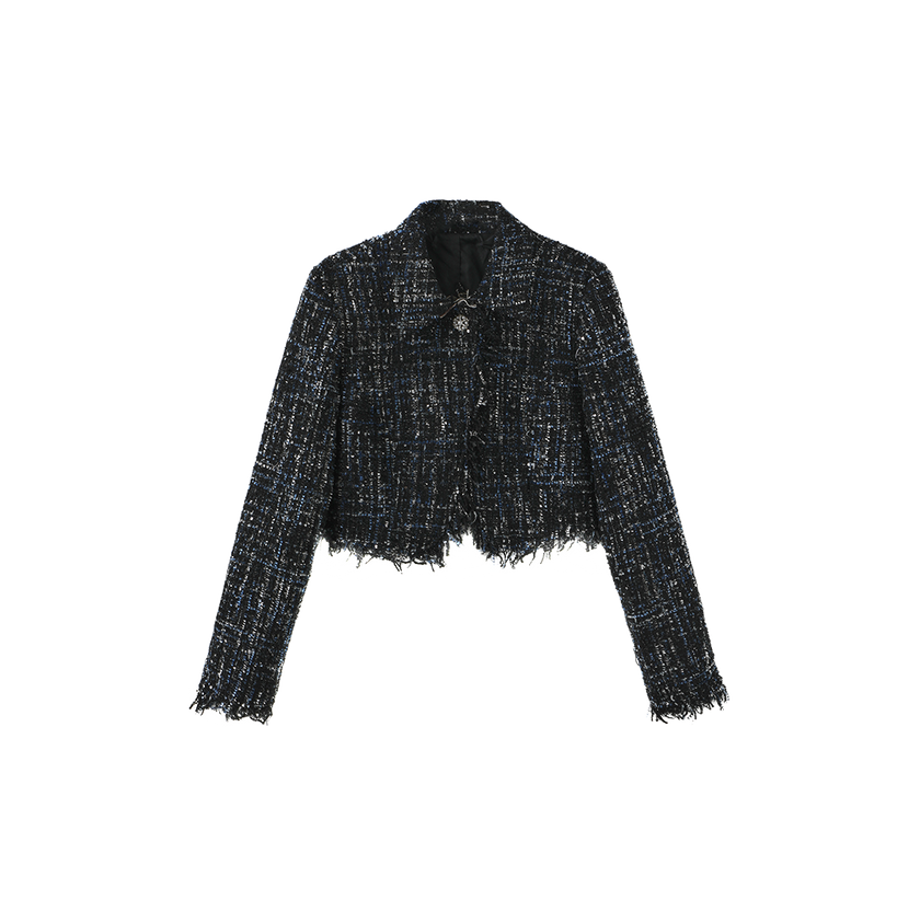 Tweed Single Button Blazer