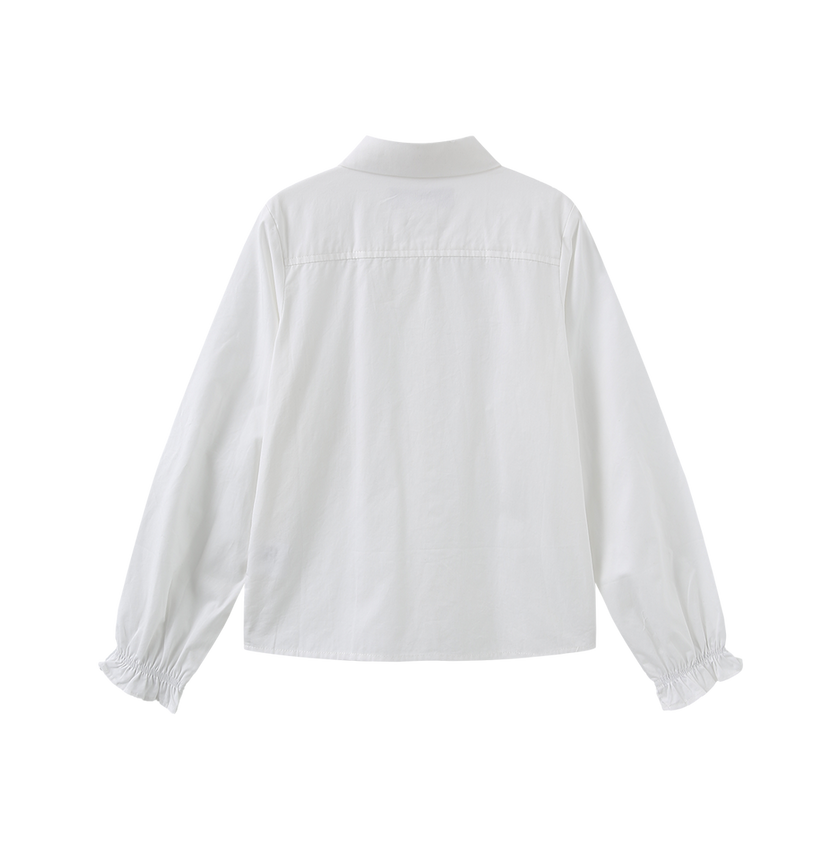 Beaded Collared Trim Blouse