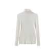 Wide Ribbed Knit Turtleneck