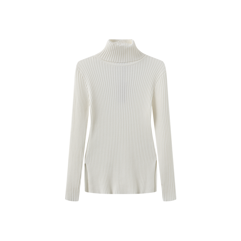 Wide Ribbed Knit Turtleneck