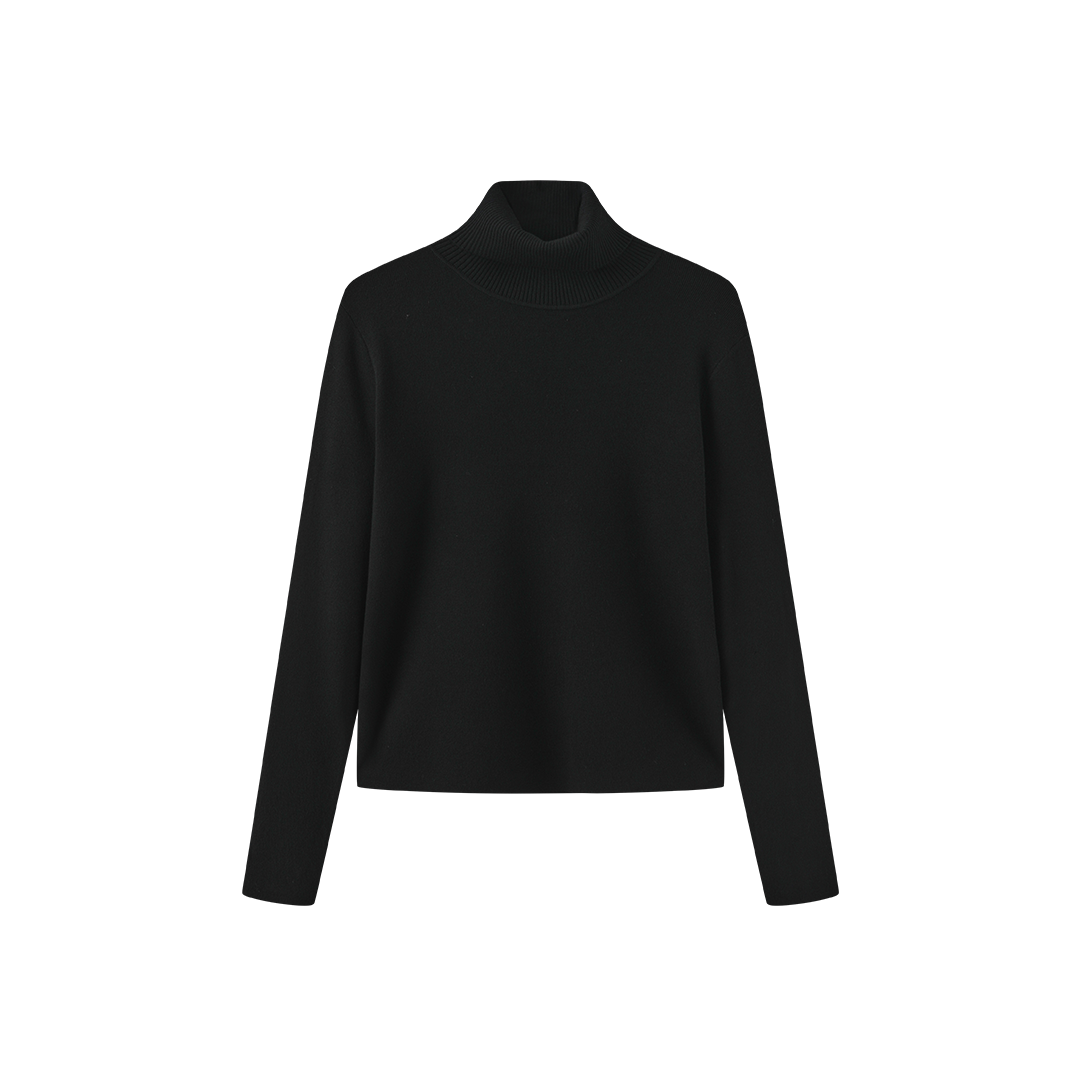 Fullin Silk Knit Turtleneck