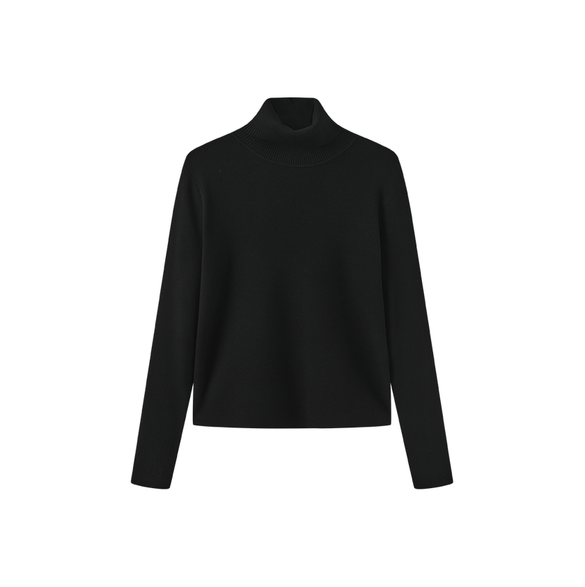 Fullin Silk Knit Turtleneck