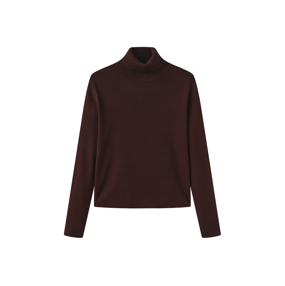 Fullin Silk Knit Turtleneck