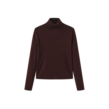 Fullin Silk Knit Turtleneck