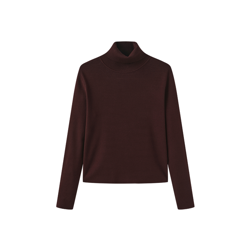 Fullin Silk Knit Turtleneck