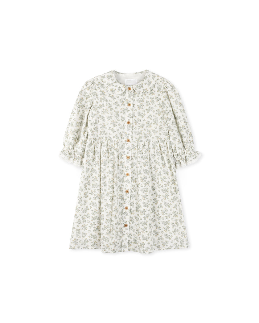 Liberty Printed Lace Trim Button Down Dress