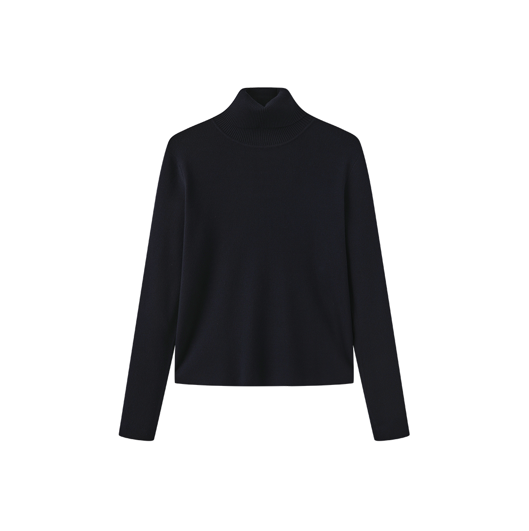 Fullin Silk Knit Turtleneck