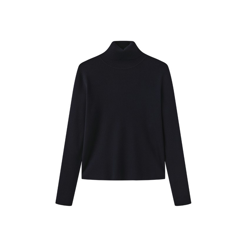 Fullin Silk Knit Turtleneck