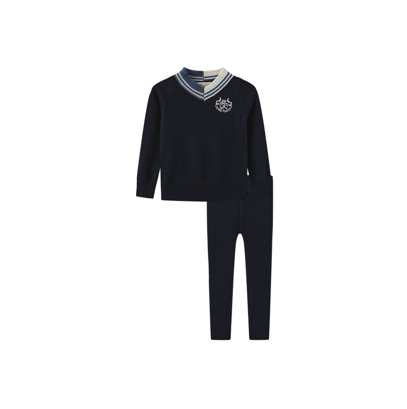 Breed Sweater And Leggings Set