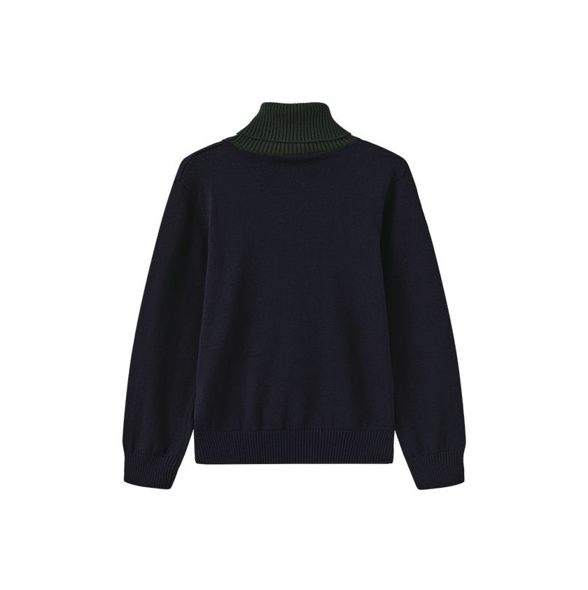 Tanvi Contrast Neck Turtleneck