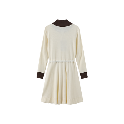 James Turtleneck Dress