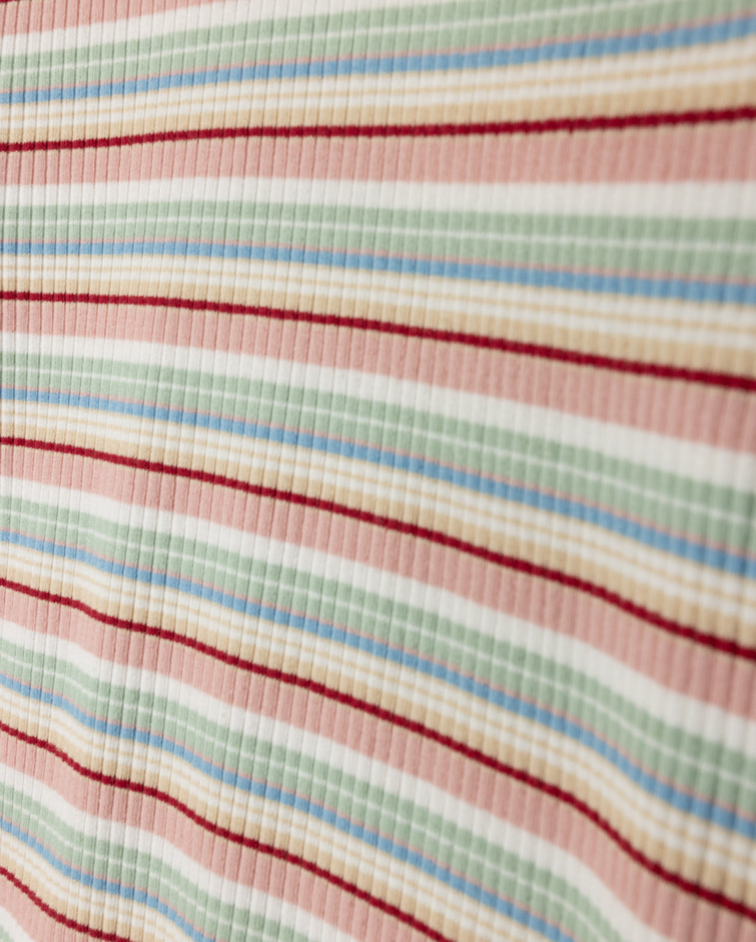 Multi Striped Ribbed T-shirt