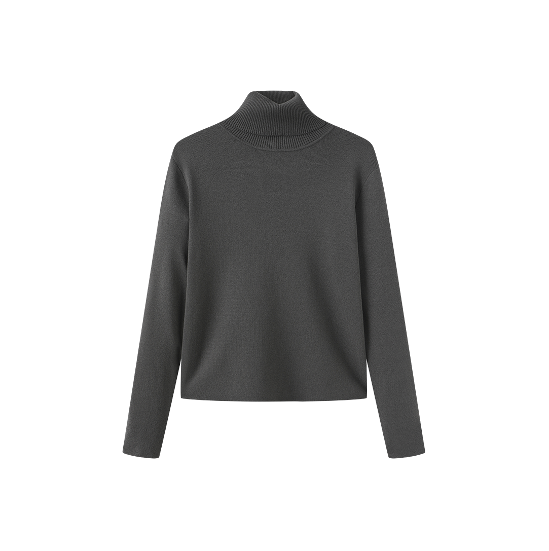 Fullin Silk Knit Turtleneck