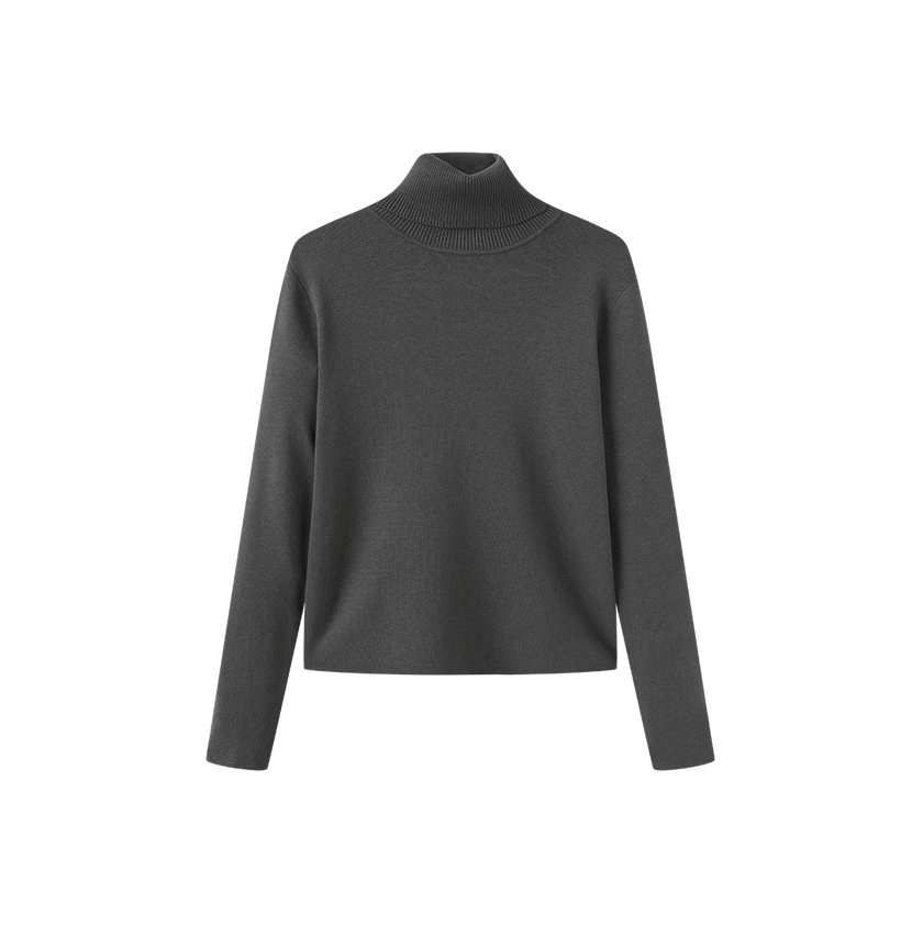 Fullin Silk Knit Turtleneck