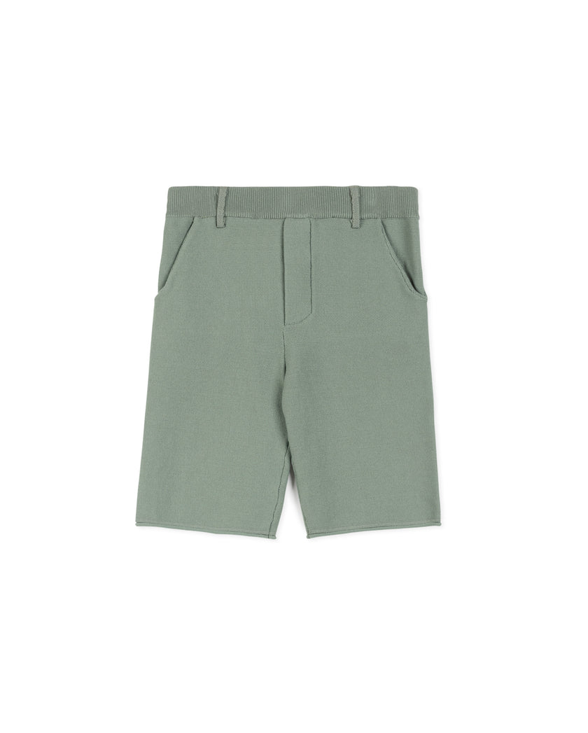 Knit Dress Shorts