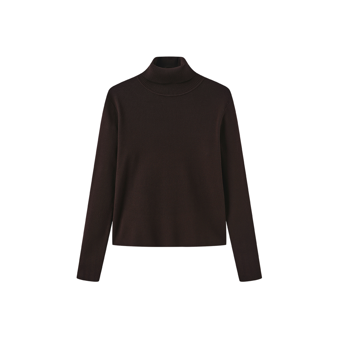 Fullin Silk Knit Turtleneck