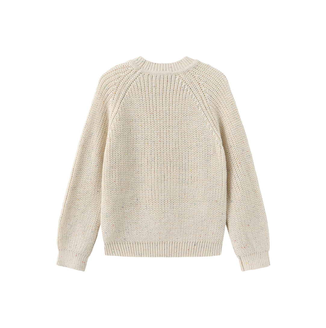 Marled Knit Cable Pattern Sweater