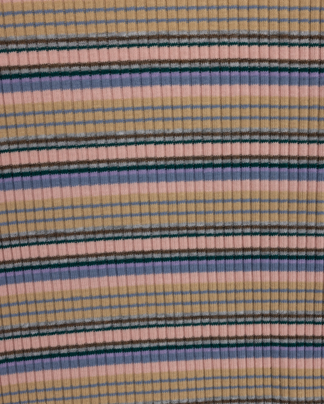Multi Striped Ribbed T-shirt