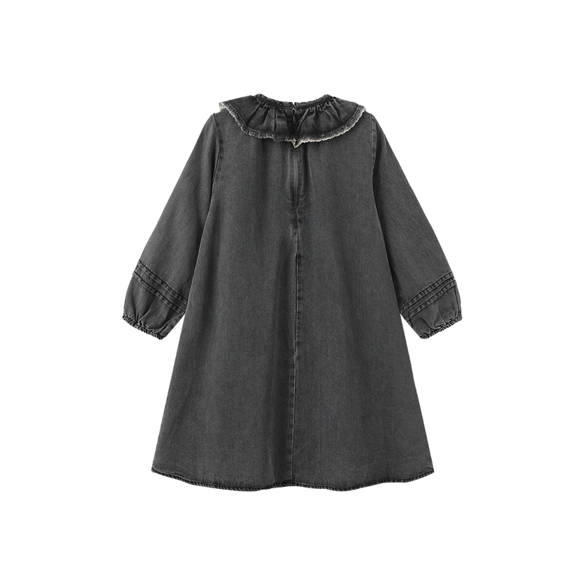 Denim Ruffle Collar Dress