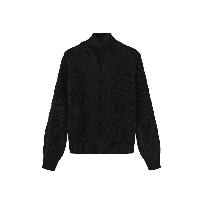 Tone On Tone Sweater Turtleneck