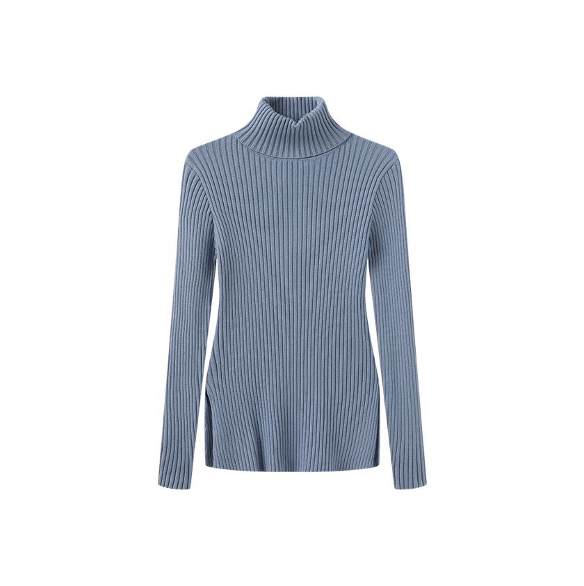 Wide Ribbed Knit Turtleneck