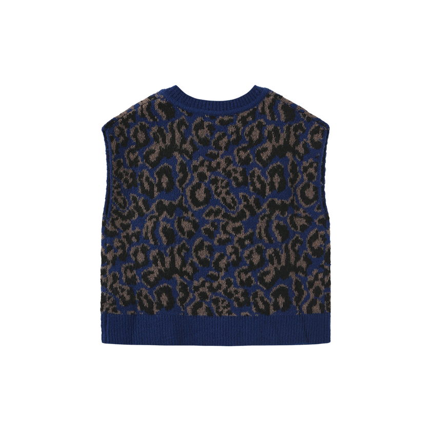 Hallen Chunky Knit Vest
